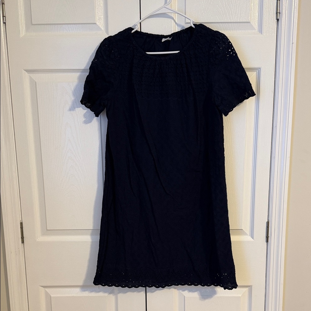 GAP Midnight Blue Lace Mini Dress
